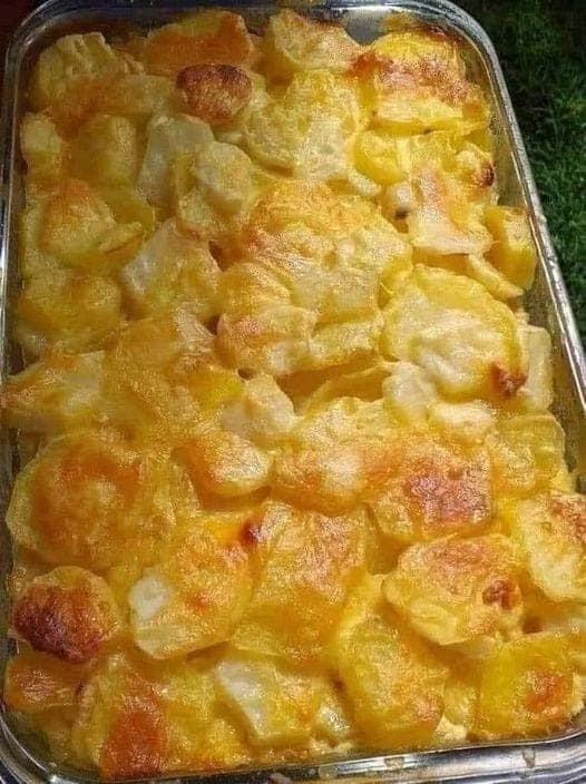 Best Scalloped Potatoes