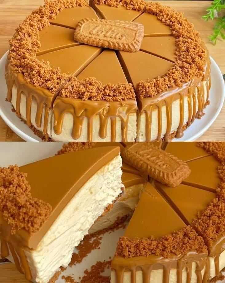 Delicious Biscoff-Inspired Cheesecake