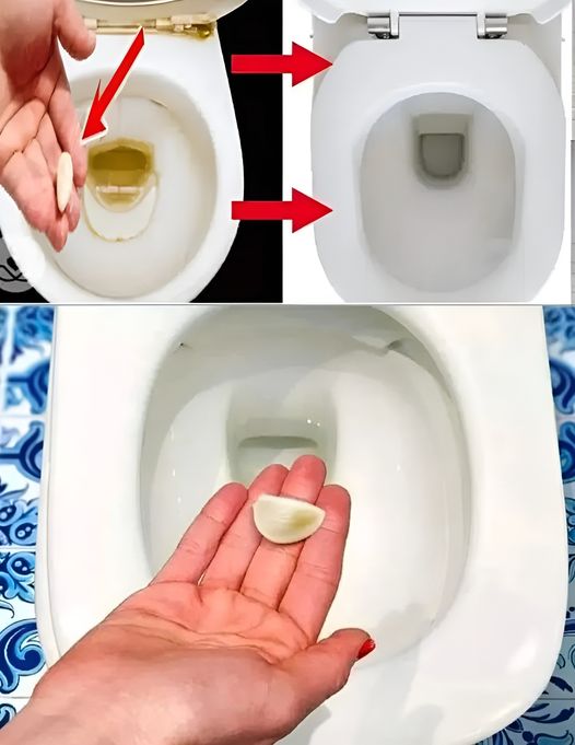 Put A Clove Of Garlic In The Toilet Overnight, And You’ll Be Surprised By Its Effectiveness