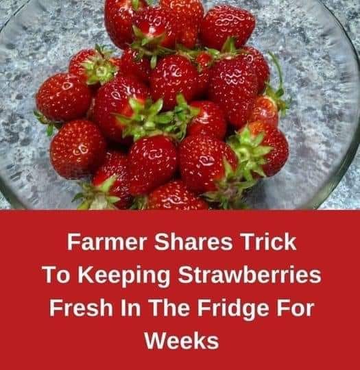 How To Keep Your Strawberries Fresh for Longer