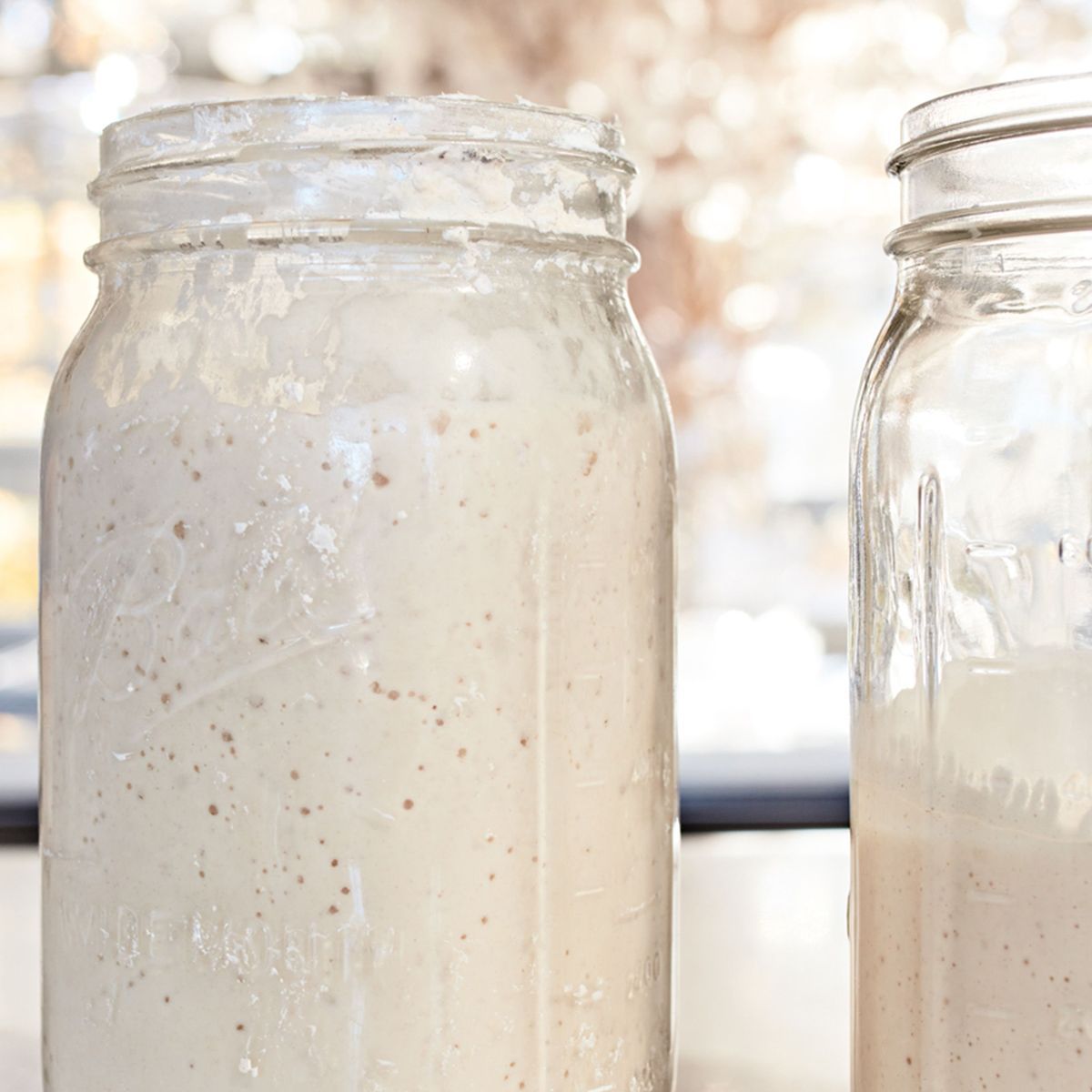 How to Make Sourdough Starter From Scratch