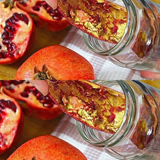 Don’t Throw Away the Pomegranate Peel: A Miraculous Cure for Stomach Viruses